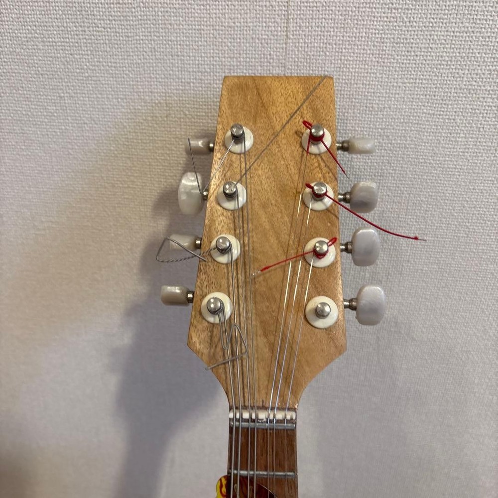 Basiko (flat mandolin) case