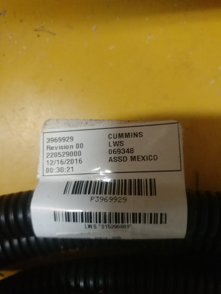 3969929 Cummins Marine Harness