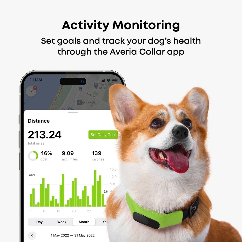 Collar - Reliable GPS and Activity Tracker for Dogs