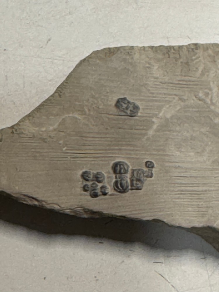 PERONOPSIS FOSSIL MULTIPLE TRILOBITE PLATE #5