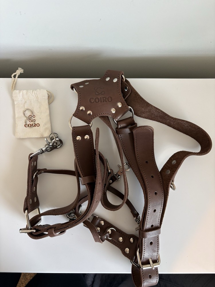 Coiro Slim Camera Harness for 2 Cameras – Dual Shoulder Leather Camera Strap