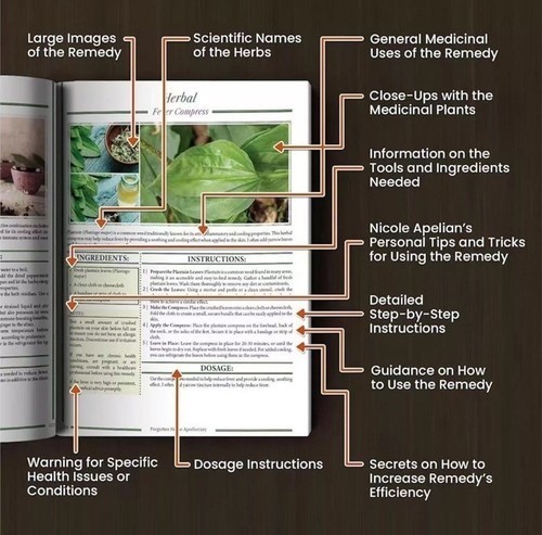 Forgotten&Hom- Apσthecary:250-Powerful Remedies By Nicole Apelian=PhD -A5 Size