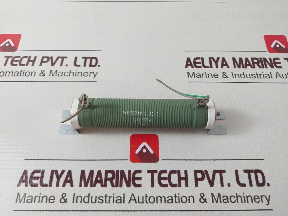 Jrm GH80W Resistor 100J