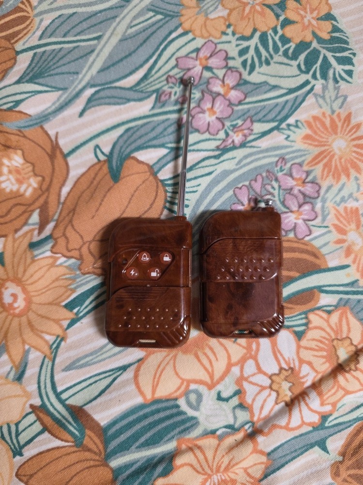 Two Wireless Remote For Vehicle