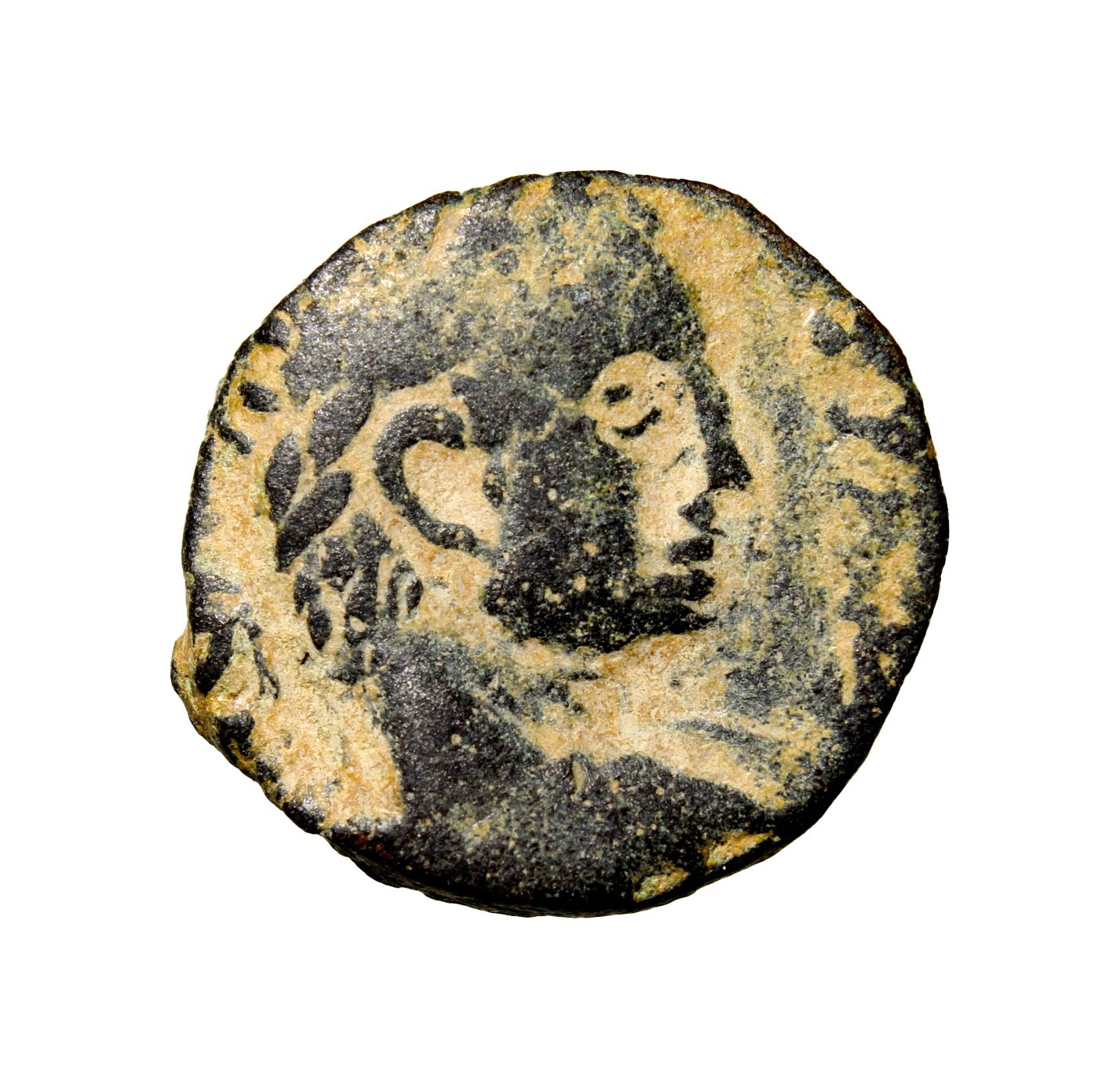 UNPUBLISHED Two Eagle SPQR JUDAEA. Caesarea Maritima. Severus Alexander, 222-235