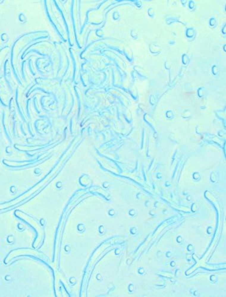 Tool 13-444 Trailing Floral Stucco Texture Roller, 7"