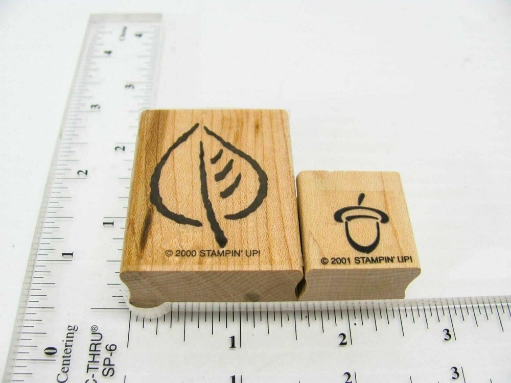 Acorn Leaf Rubber Stamp - Stamp Set A584