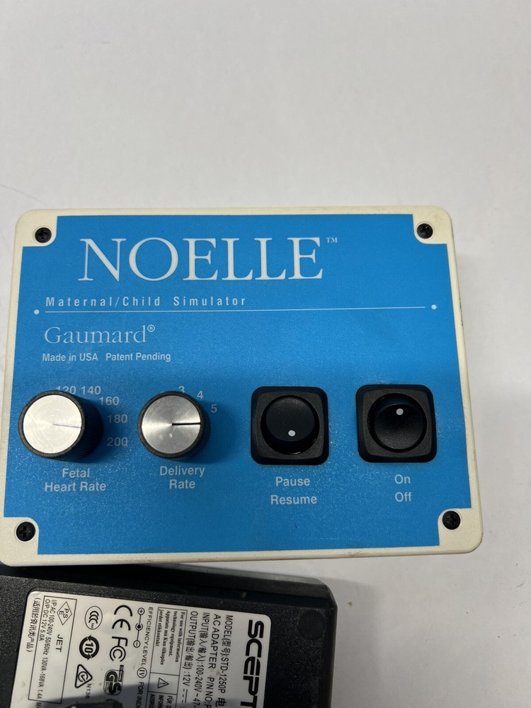 Noelle Guamard Child Simulator