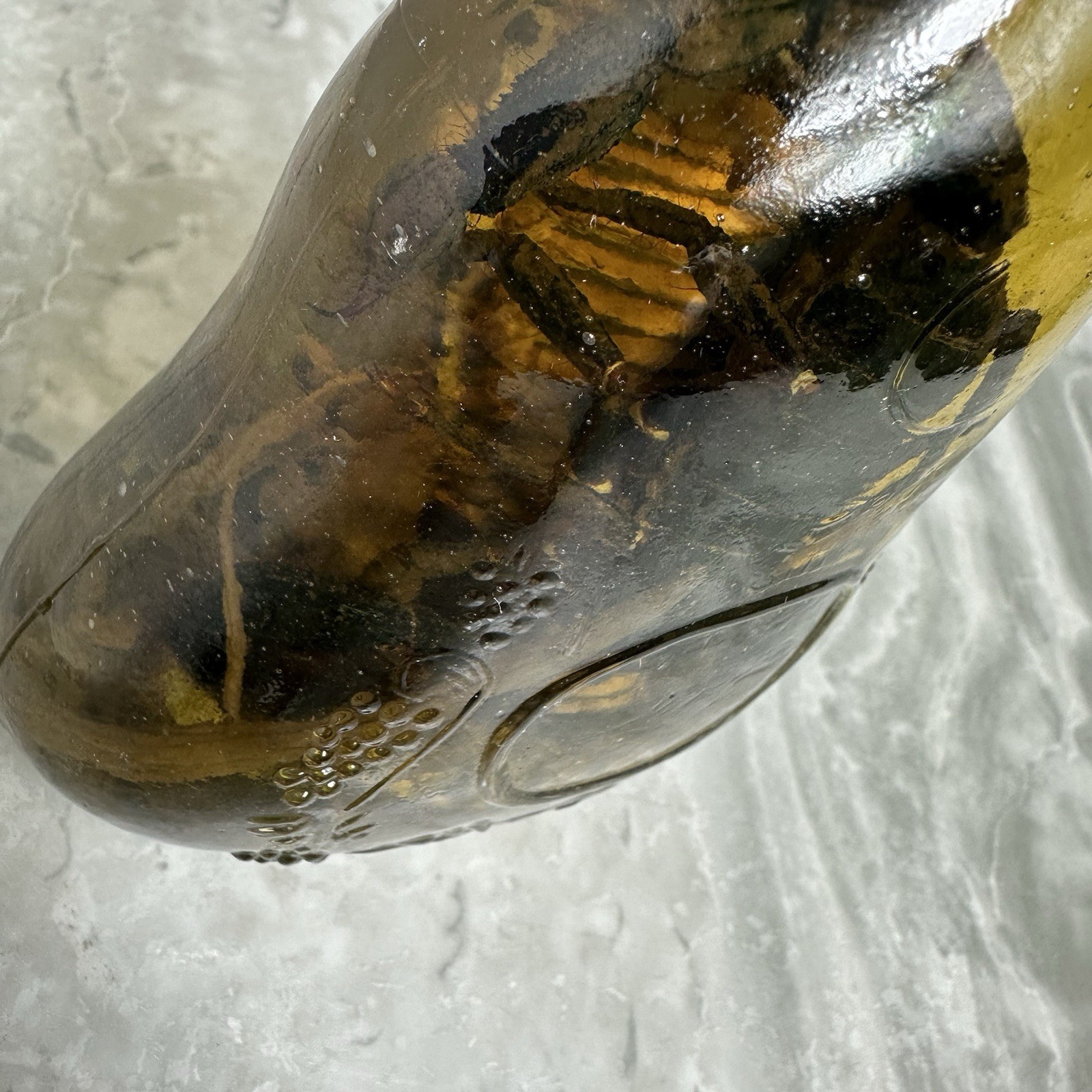 Cobra Snake And A Scorpion In A Glass Bottle 7" Tall - Snake Wine?