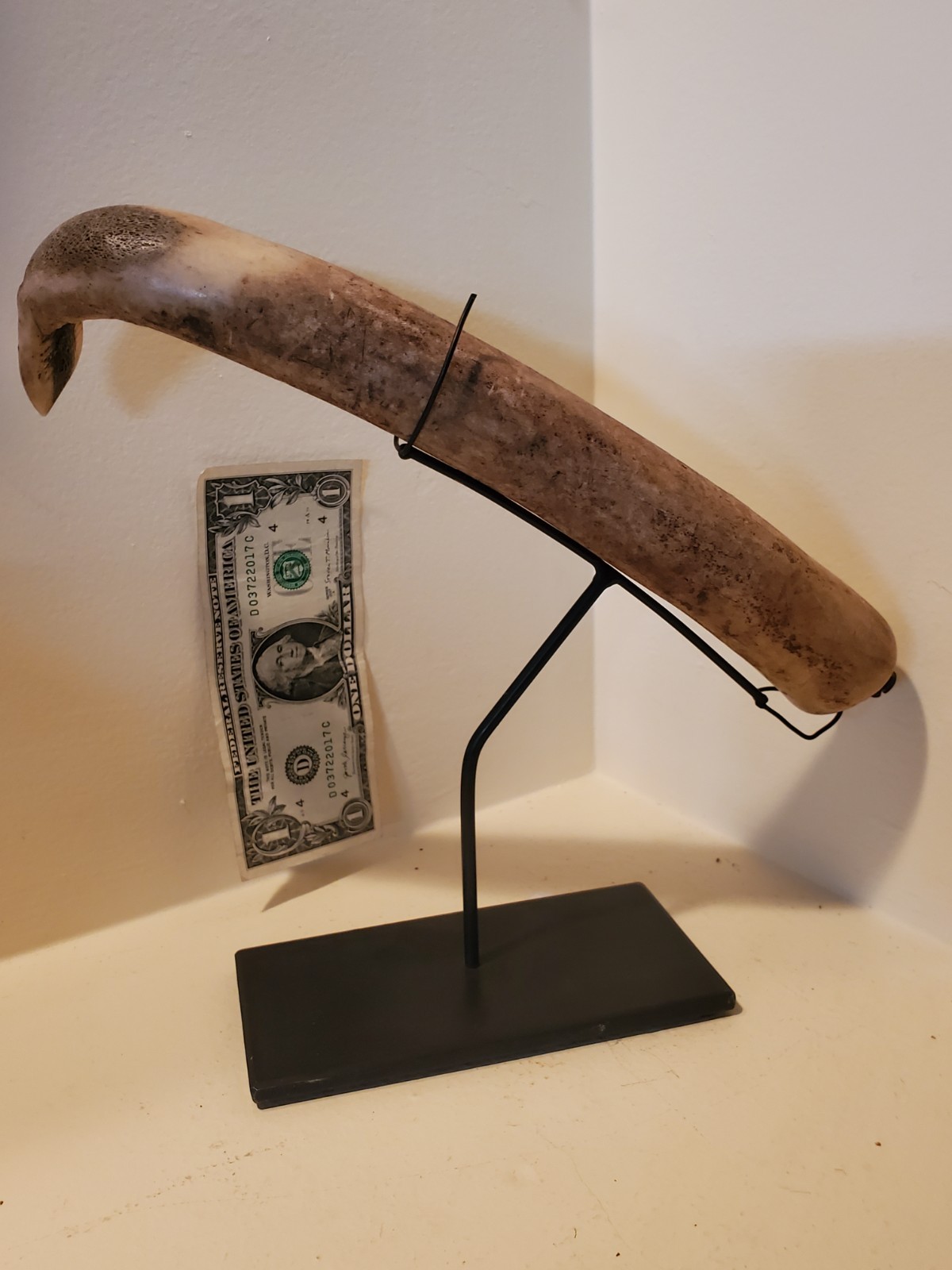 Antique OLD Native American Indian plains hide scraper 1840s 19th c.