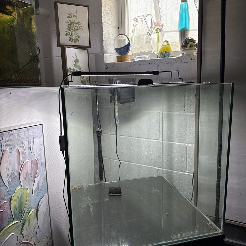 Cube Aquarium 65 Gallon Fish Tank