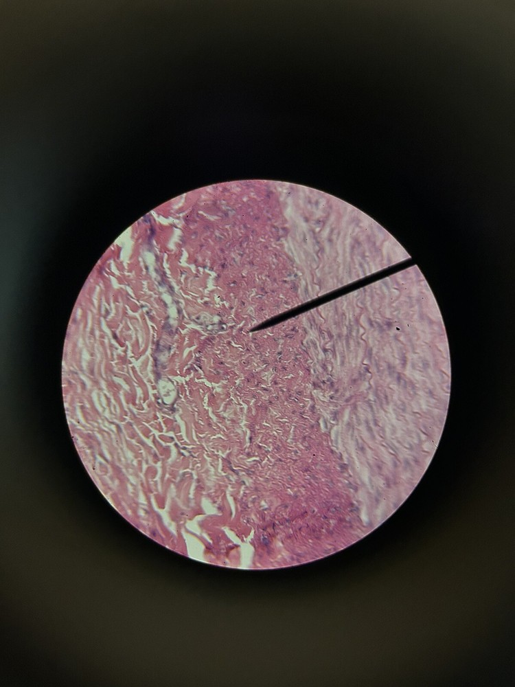 Monolux Vintage Microscope Works