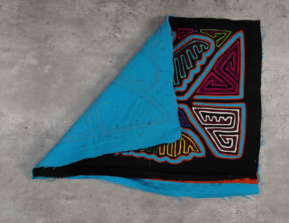 Black And Blue Thunderbird Bird Mola
