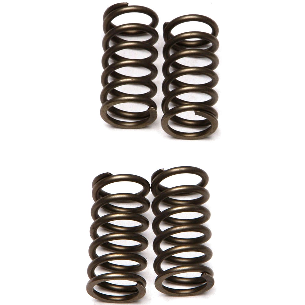 EBC CSK Clutch Spring Kit - CSK142