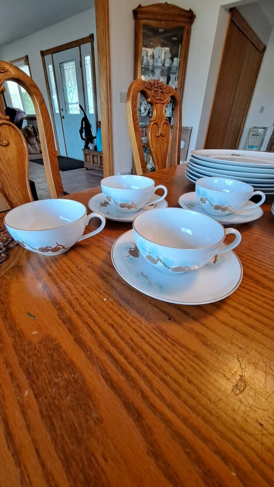 Fukagawa Arita Handpainted 41 Piece Grouping Dinnerware Pine Cone Pattern #904