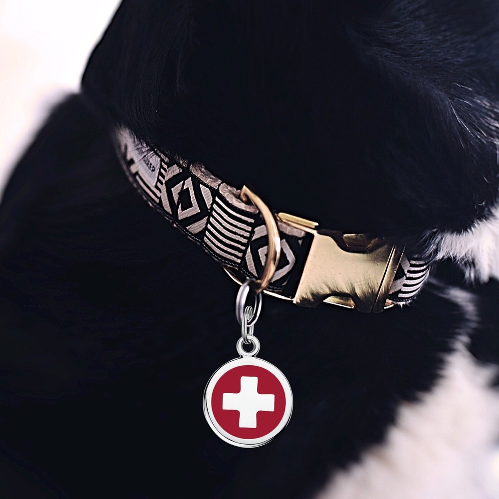 LEASH KING Cute Pet ID Tags with Split Ring