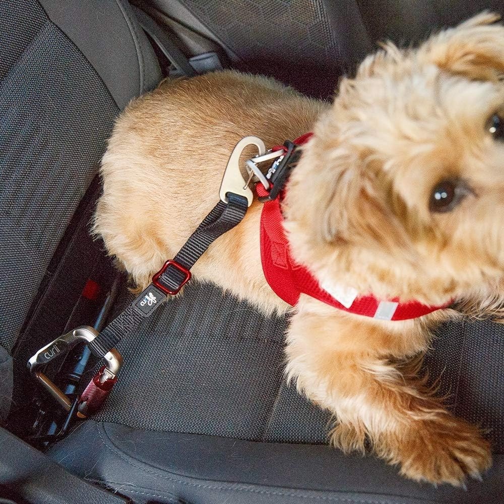 Car Safety Belt 60cm