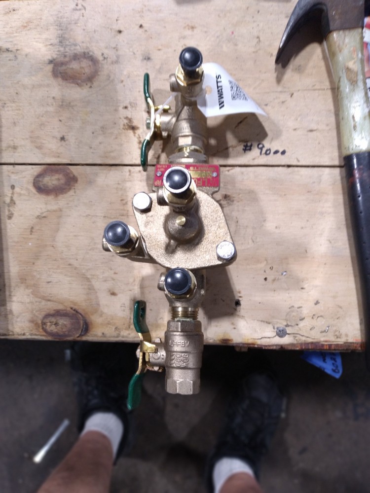 watts reduced pressure zone assembly
