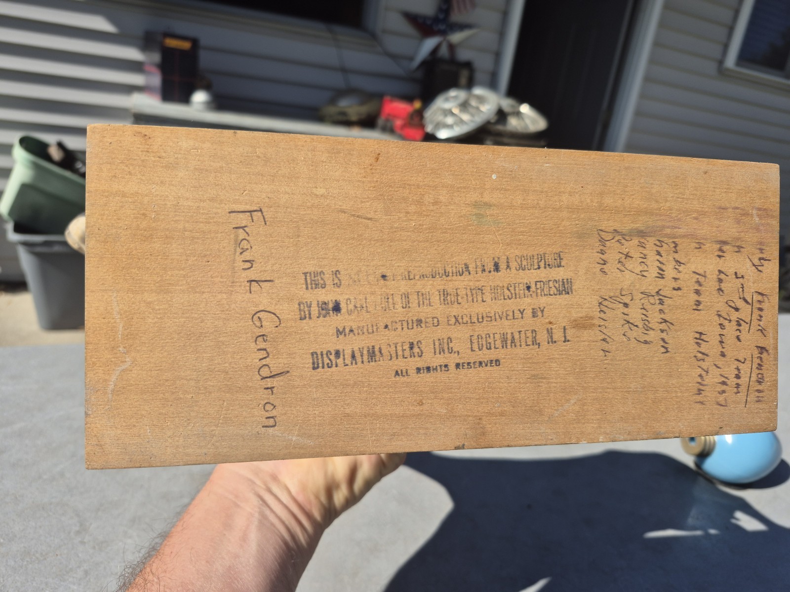 Vtg 1950s True Type Holstein Friesian Large Cow Brattleboro VT Store Display