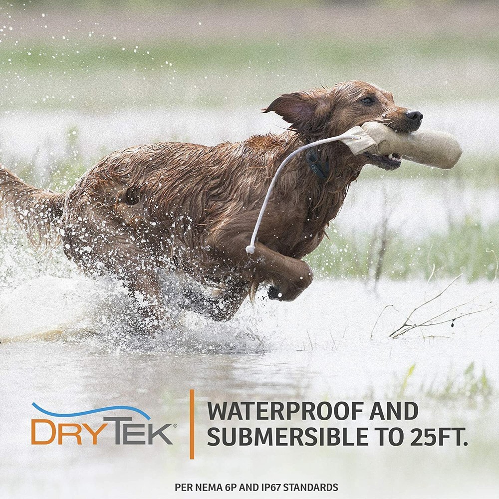 SportDog SD-425X Remote Field Trainer Rechargeable Dog Training E-Collar System