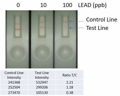 At Home 10 minute LEAD Test Kit