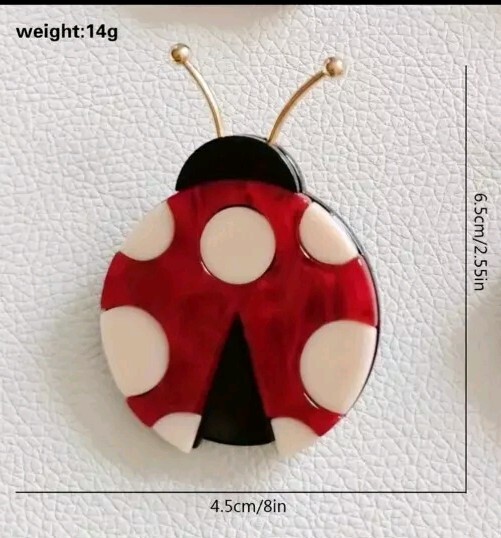 Acrylic Ladybird brooch