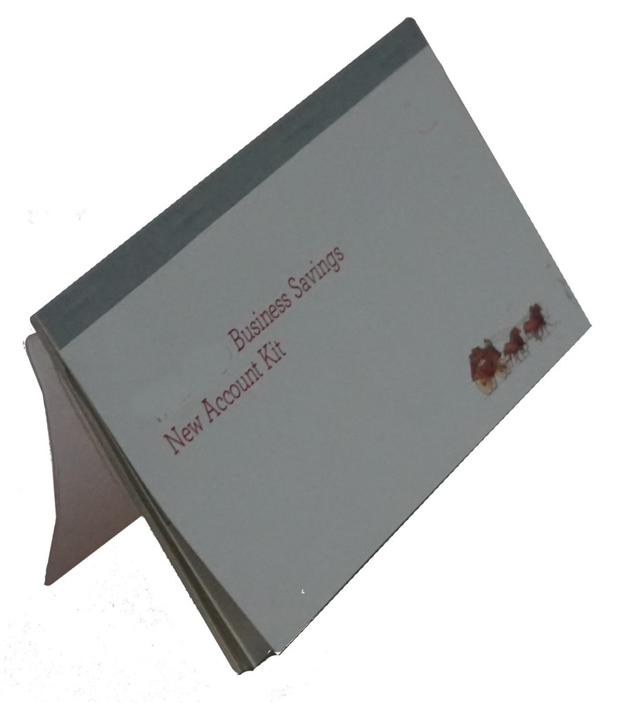 Standard Checkbook Divider Insert Duplicate Clear Vinyl Cover Size 6x2.8 Inch