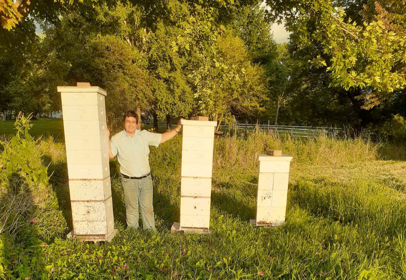 Raw Honey 5 lb (2.27kg) - 100% Raw, Wildflower, Local Organic, Unfiltered
