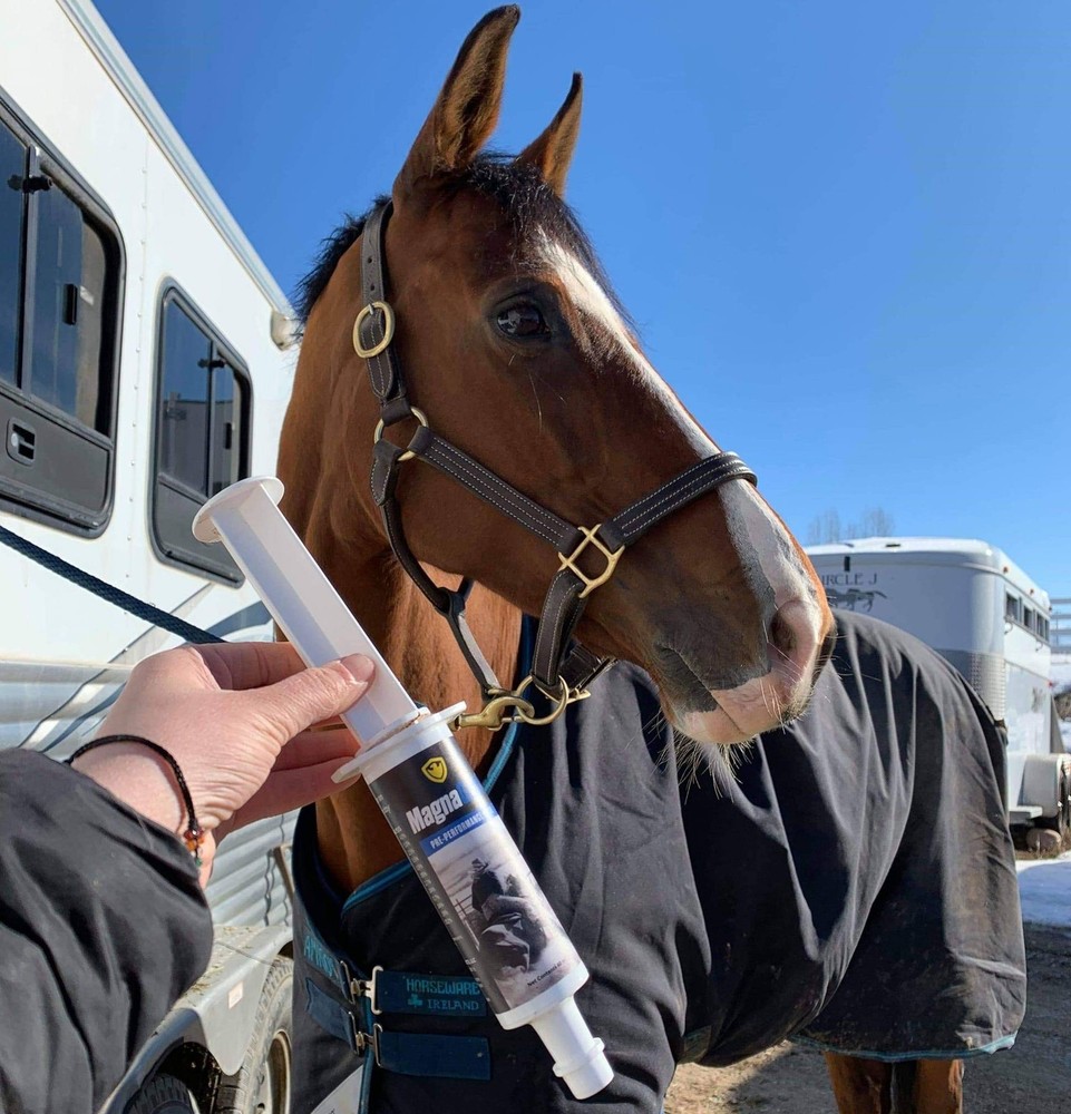 Pre-Performance Calming Paste for Horses - All Natural Gastric Support by Eag...