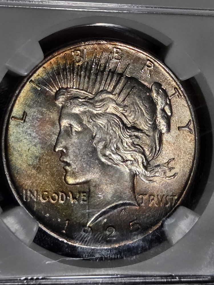 1925 $1 Peace Dollar NGC MS65 Toned