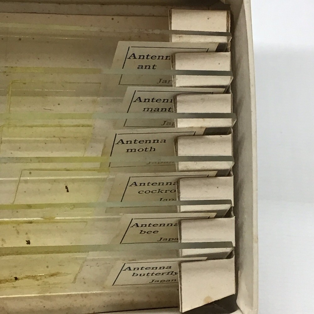 Vintage PERFECT MICROSCOPE SPECIMEN SLIDES 3 Boxes 18 Slides 810-E, N, & P