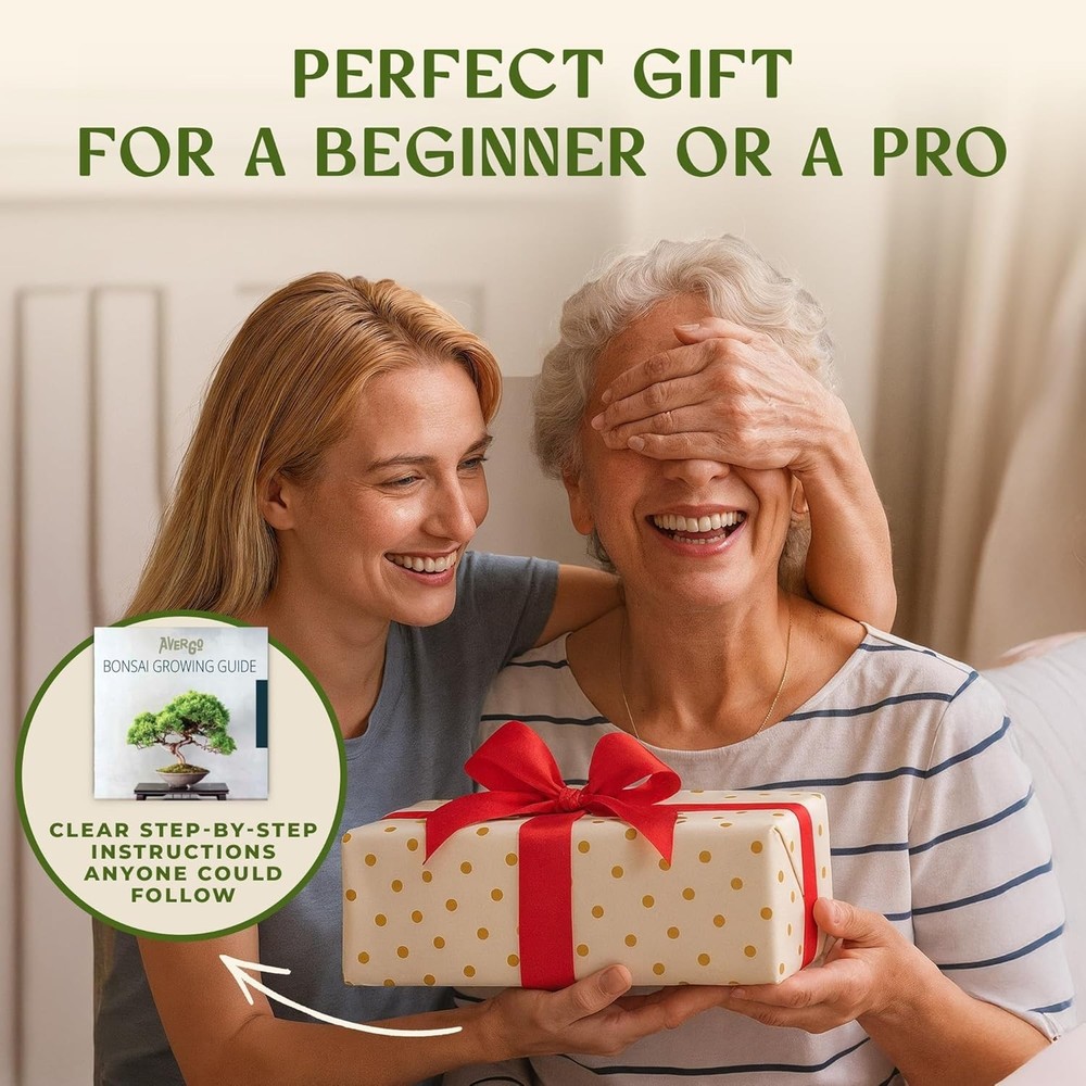 Bonsai Starter Kit – Growing Jacaranda Bonzai Tree | Complete Indoor Tree Kit...
