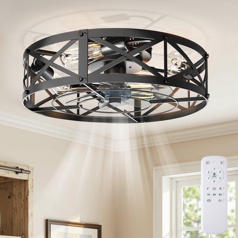 19 Inch Ceiling Fans with Lights, Caged Ceiling Fan with Remote