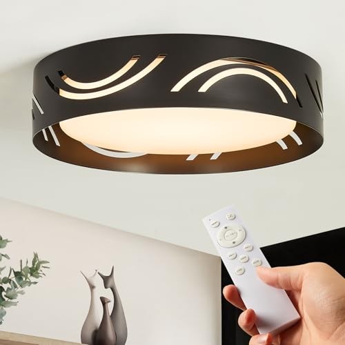 Modern Dimmable LED Ceiling Light Fixture with Remote general purpose Black