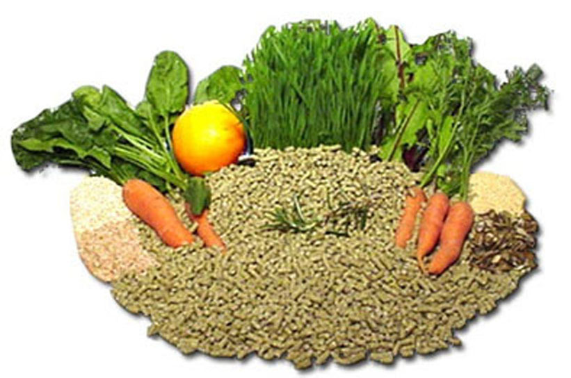 TOP's Parrot Pellet Food 3 lb ORGANIC avian nutritious bird diet No Salt / Sugar