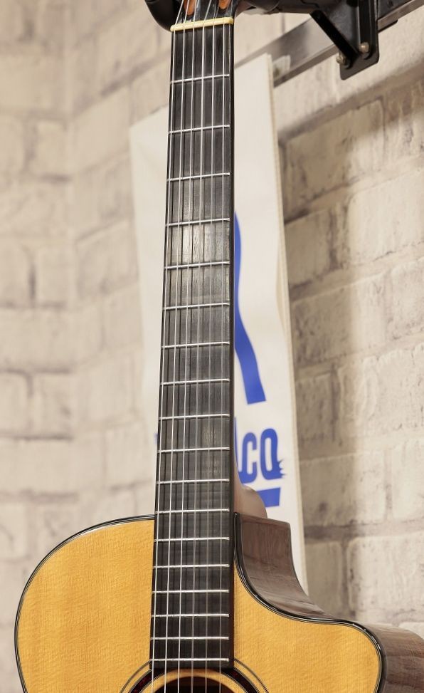 Furch GN4SR Used Elegat