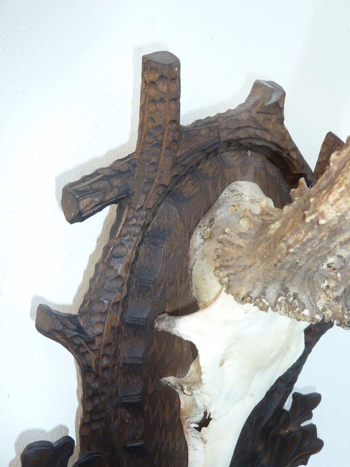 17" HUGE HEAVY ** 1990** DATED SUPERB BLACK FOREST CARVED ROE DEER ANTLERS MOUNT