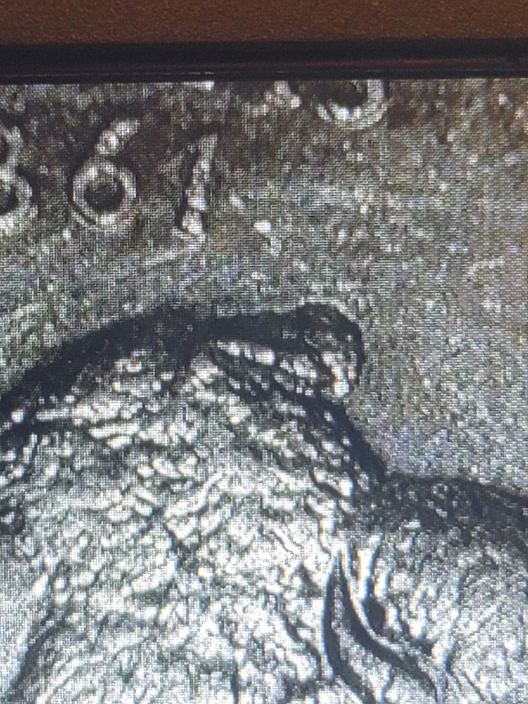 2005 P KANSAS QUARTER HUMPBACK BISON ERROR - & multiple errors on Obv. & Rev.