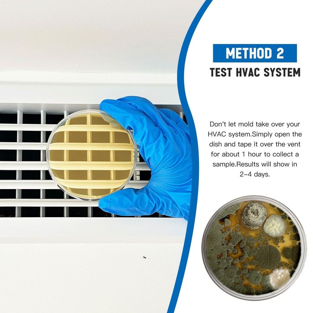 Home Mold Test Kit - 6 Tests, Black Mold Detector, Free Lab Analysis