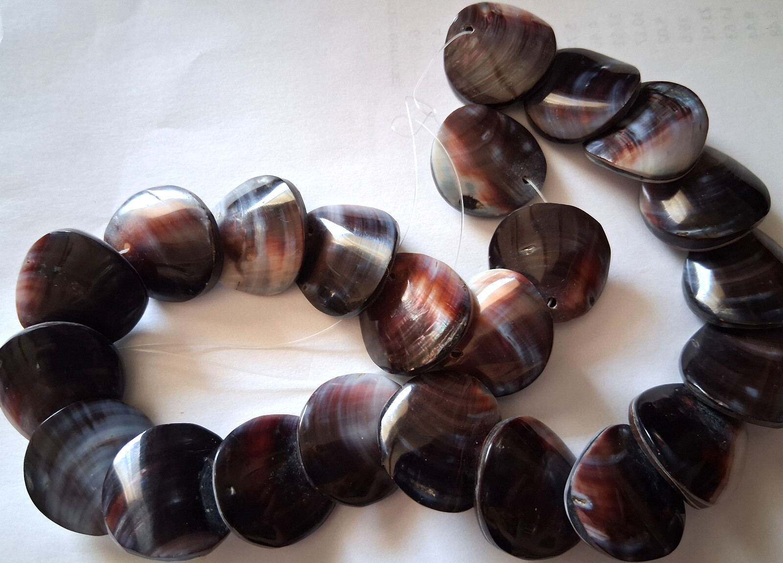 Violet Oyster 23 Double Sided Beads 24 - 25 mm Round 18 Inch Strand MAKE OFFERS!