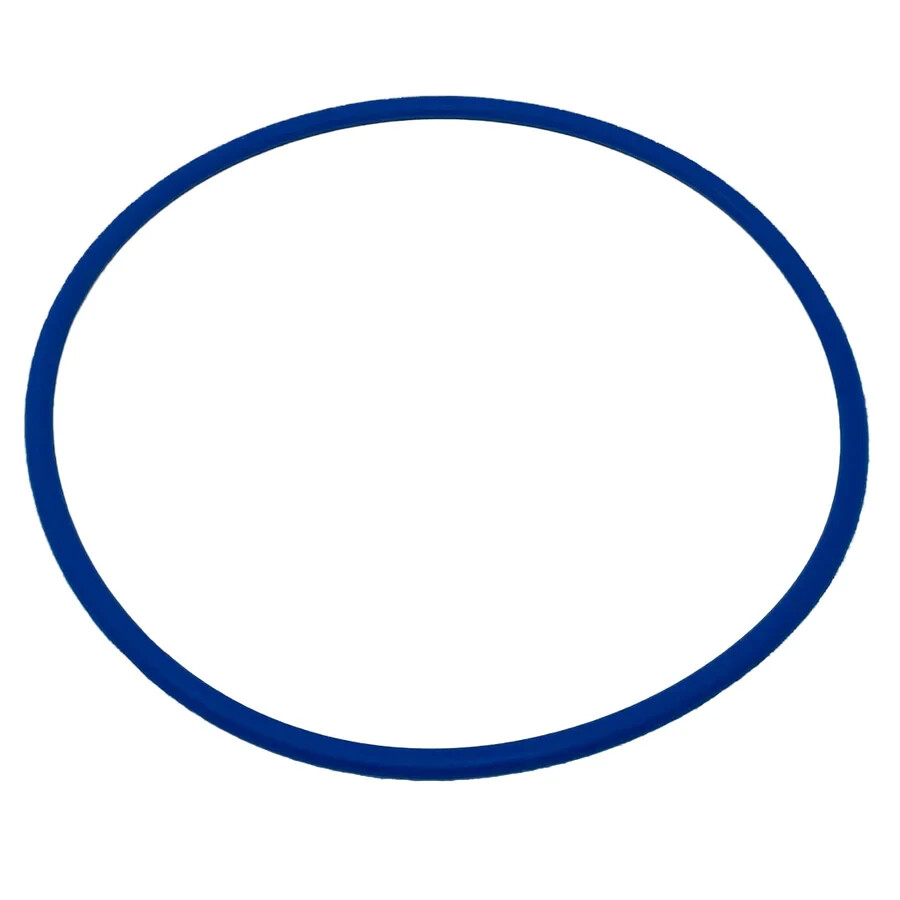 Blue Square Abyss Canister O-Ring Replacement Pool Part