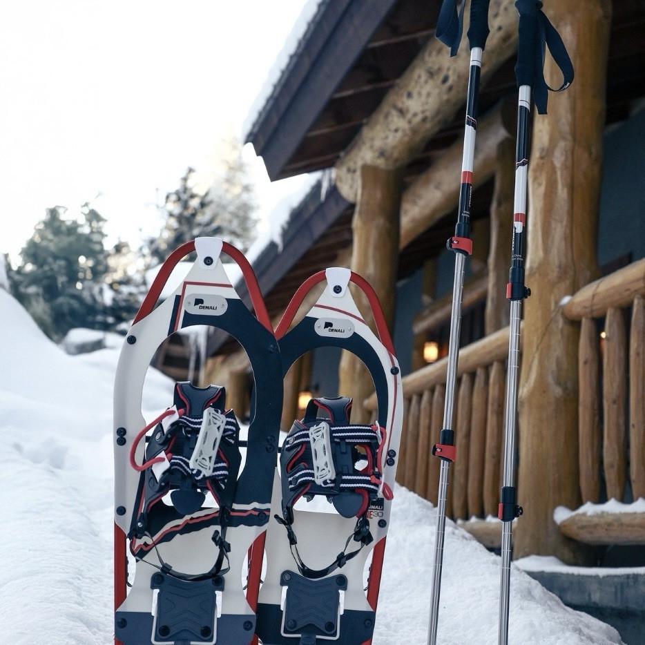 Denali Sawtooth Spin Snowshoes 9x30 Winter Hiking Kit w/ Poles & Bag – 250 lb
