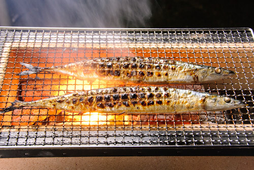 NEW Japan Yakitori BBQ Diatomite Charcoal Grill Barbecue Hibachi Konro