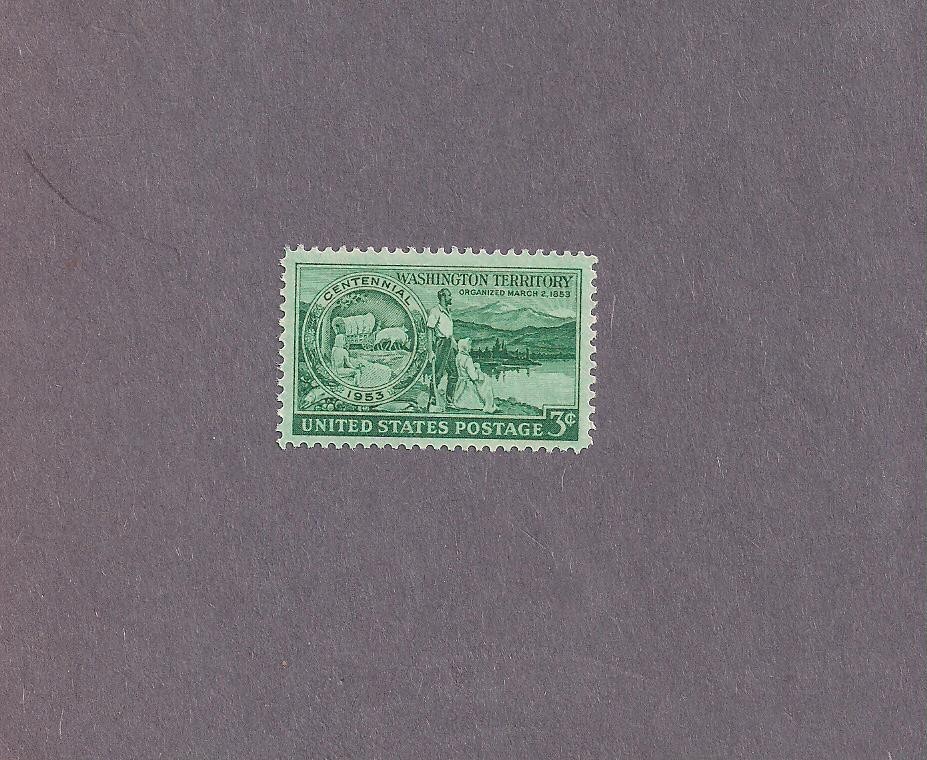 #1019 Washington Territory Issue mint NHOG