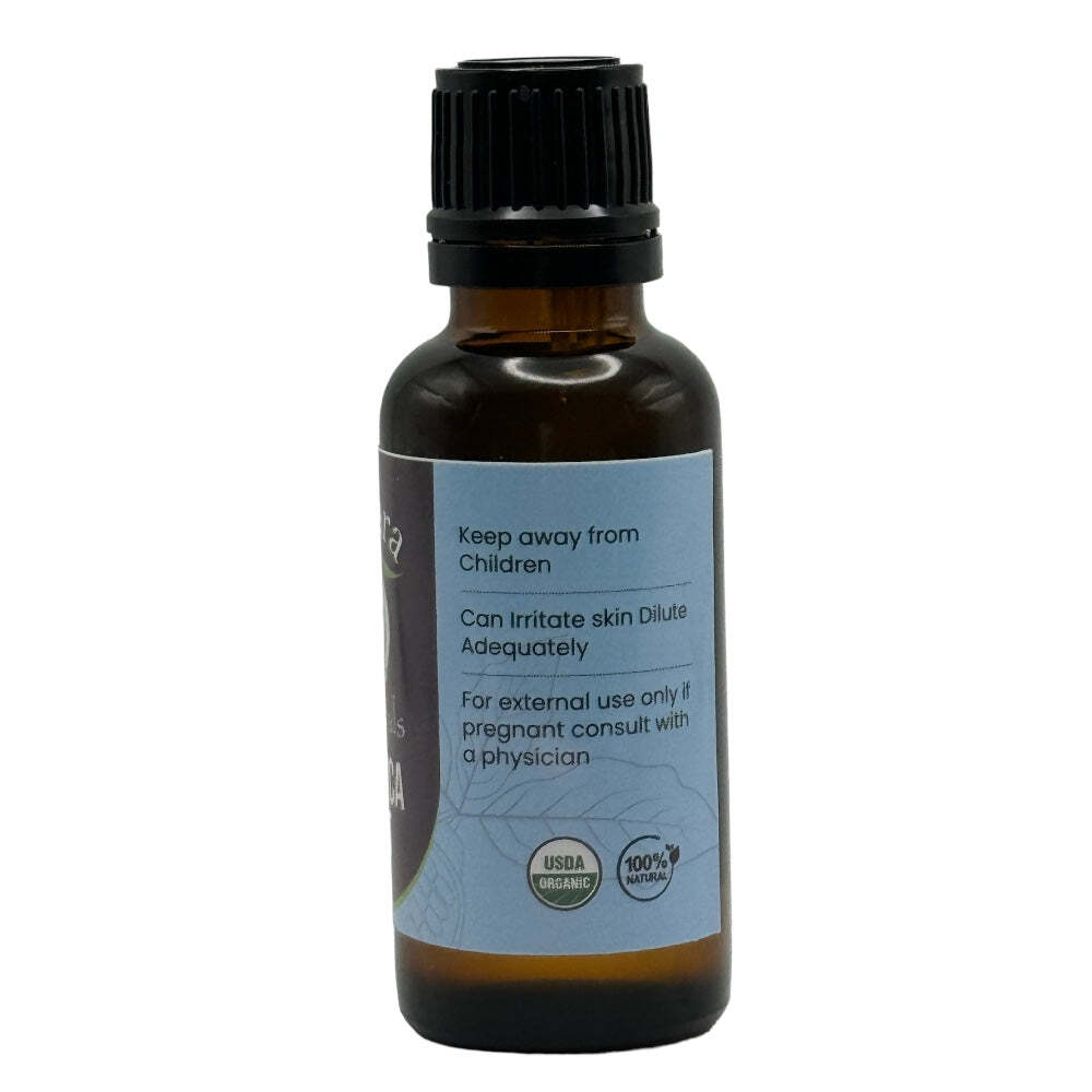 Angelica Root Essential Oil - 100% Natural