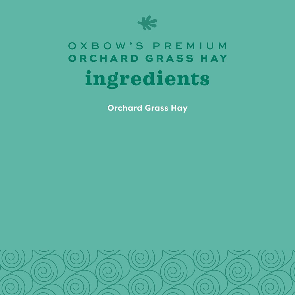 Orchard Grass Hay for Small Pets – 40 Oz Bag