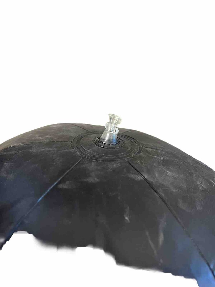Bird, scaring balloon