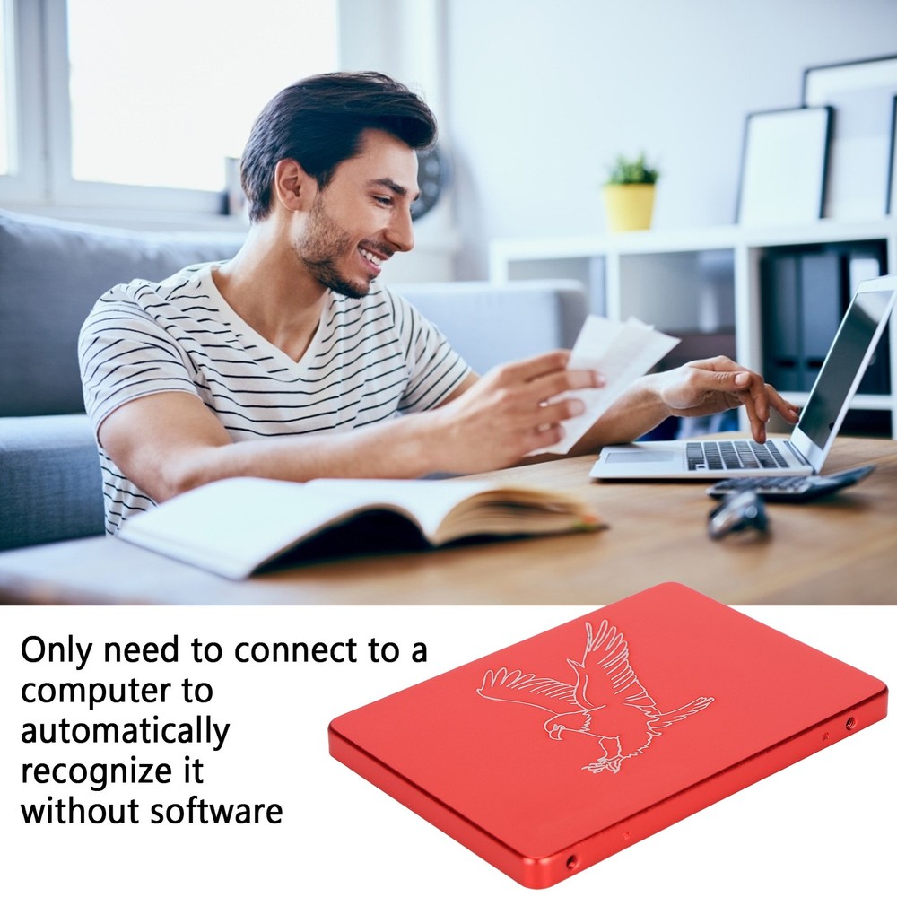 16GB Hsthe Sea Mobile Solid State Disk Portable 2.5 Inch Metal Eagle Red WT