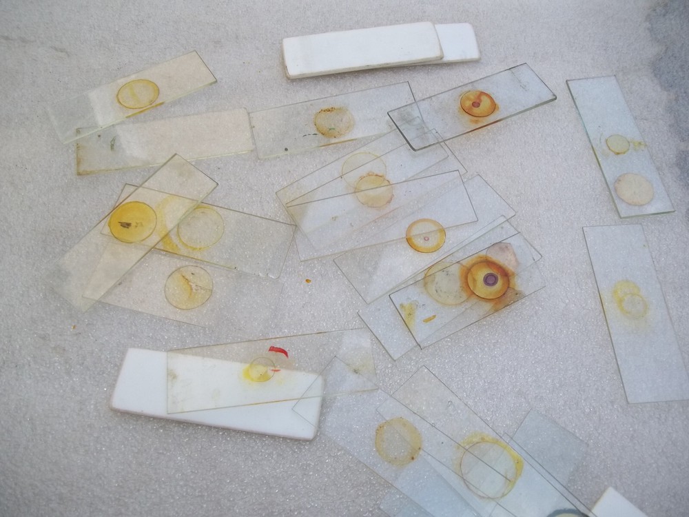 Antique Victorian Glass Microscope Slides