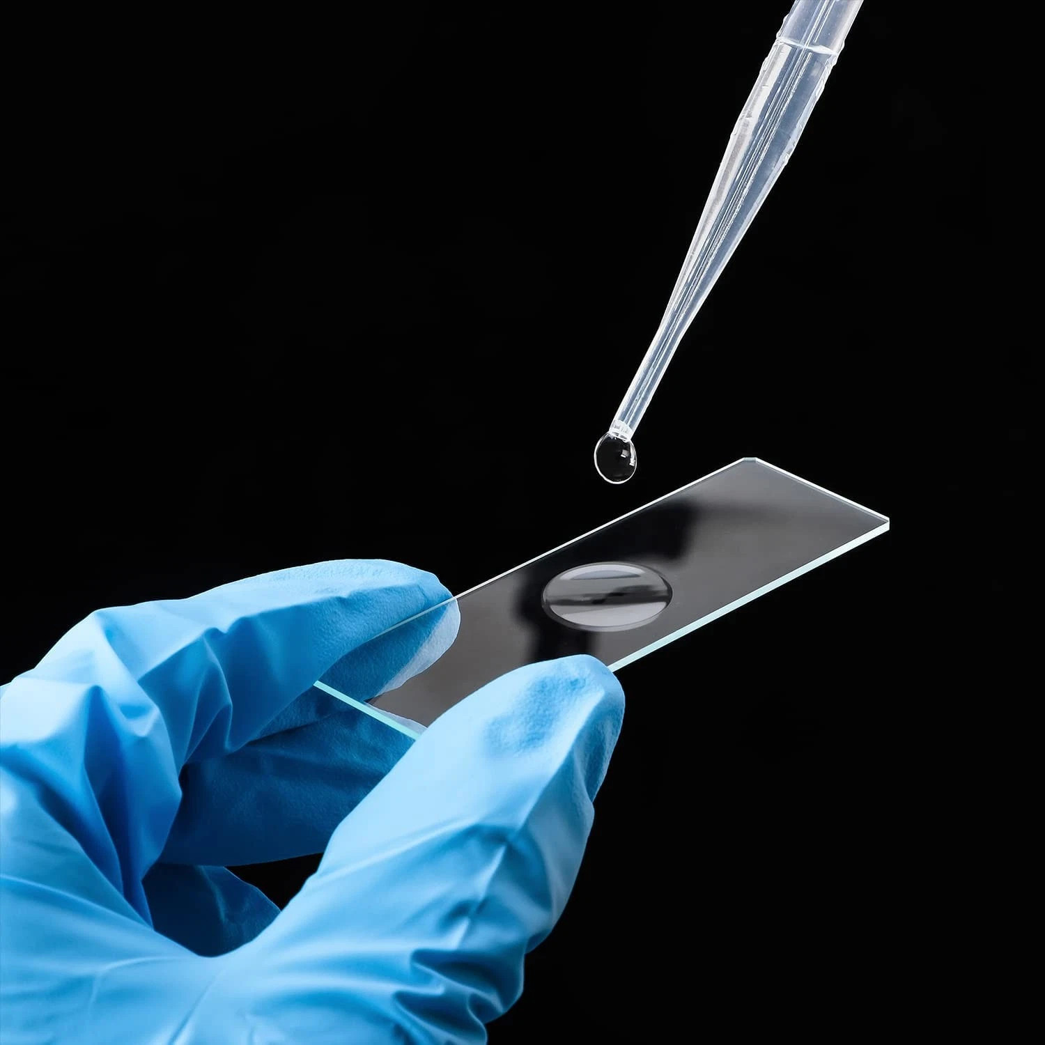 Concave Microscope Glass Slides Single Depression 1x3" Pack of 50 Slides